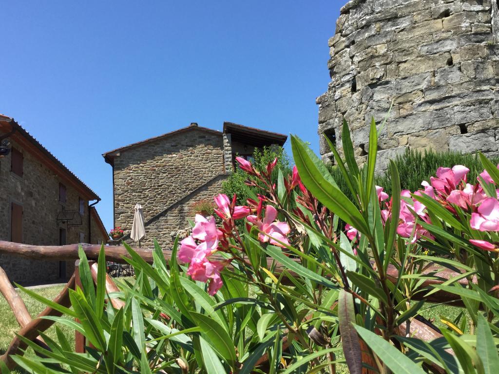 Agriturismo Badia Ficarolo Palazzo del Pero Экстерьер фото