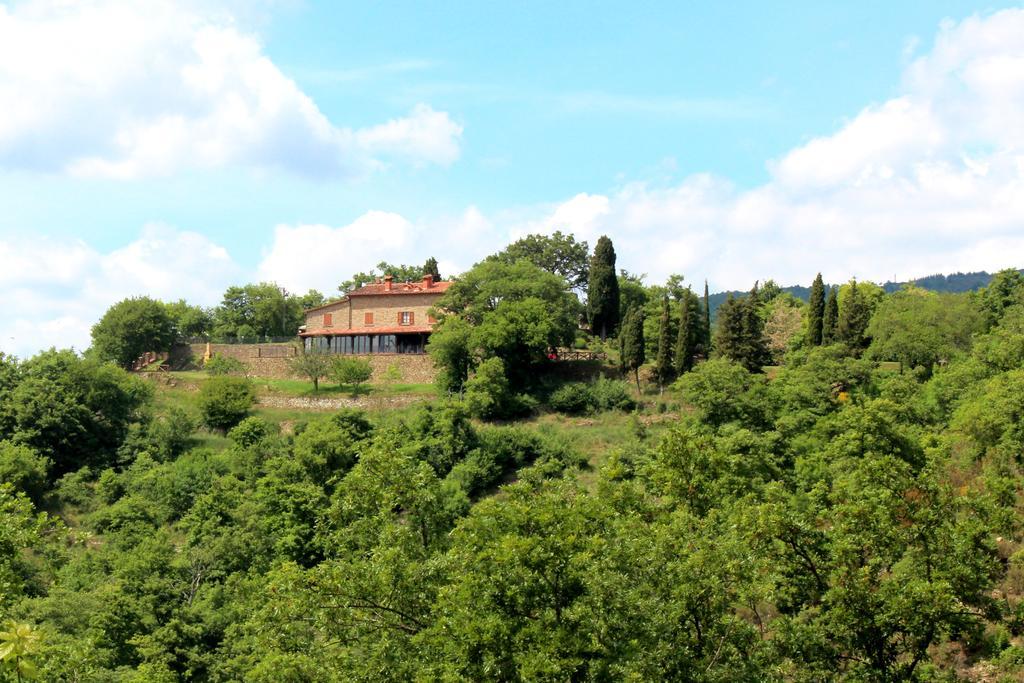 Agriturismo Badia Ficarolo Palazzo del Pero Экстерьер фото