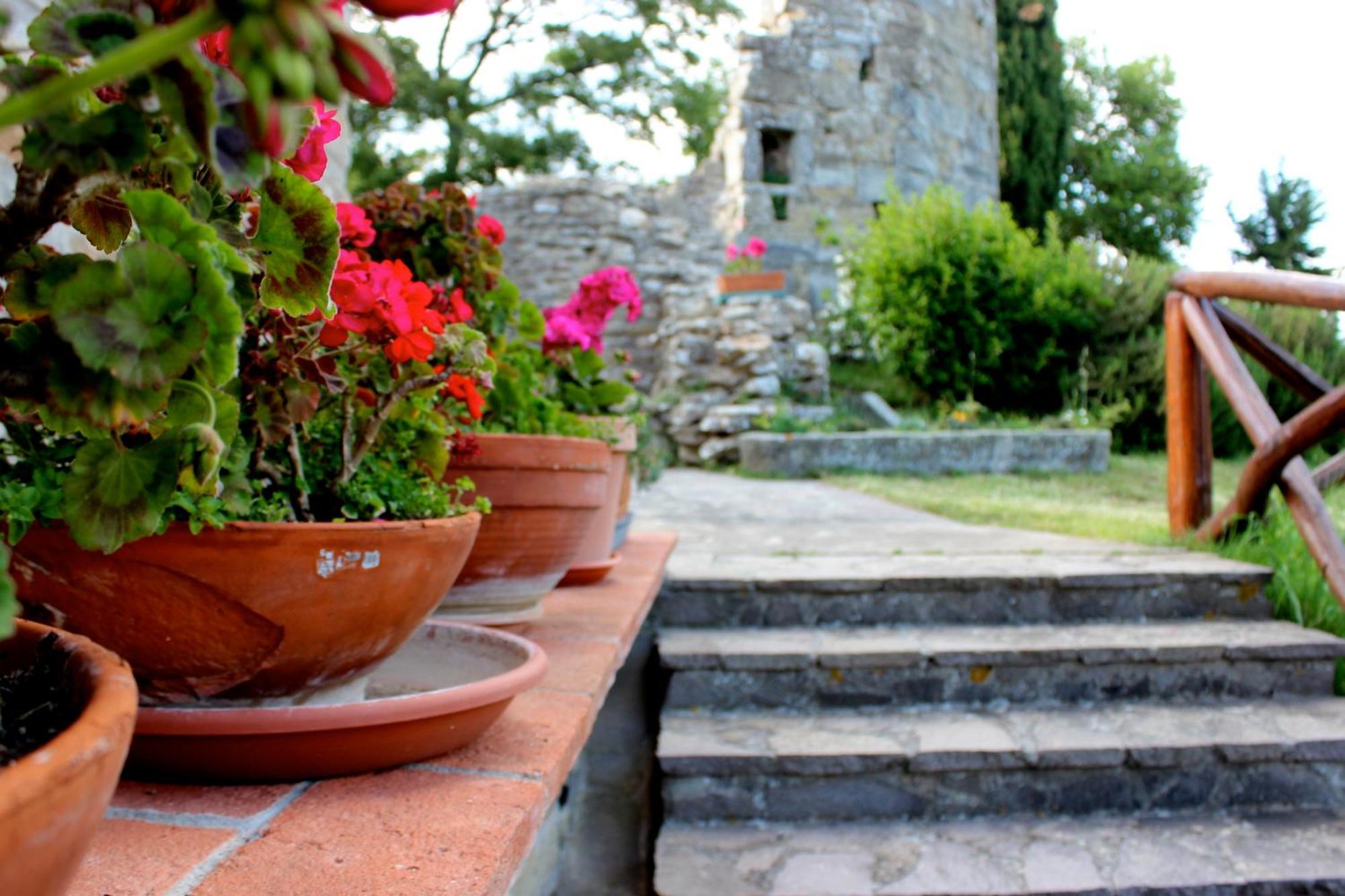 Agriturismo Badia Ficarolo Palazzo del Pero Экстерьер фото